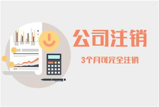 為何小規(guī)模代理記賬月費僅100元，武漢中小企業(yè)的明智之選